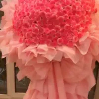 گل روبانی جاویدان|گل مصنوعی|اهواز, اهواز|دیوار