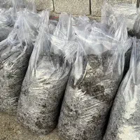 تفاله چغندر خشک و بی آب|عمده‌فروشی|ملایر, |دیوار