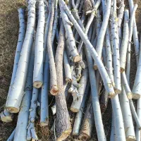 چوب آماده|خدمات باغبانی و درختکاری|زاغه, |دیوار