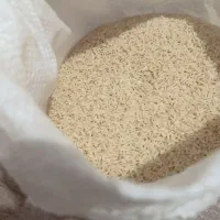 برنج محلی شمال-دمسیاه