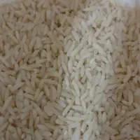 برنج هاشمی درشت دانه|خوردنی و آشامیدنی|آستانه اشرفیه, |دیوار