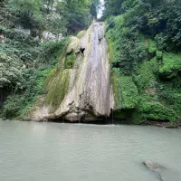 تشکیل گروه