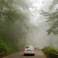 بلیط نیه رایگان