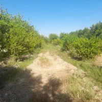 باغچه ۱۳۰۰ متری