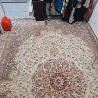 فرش|فرش|اهواز, پردیس|دیوار