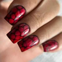 کاشت ناخن|خدمات آرایشگری و زیبایی|رشت, رشتیان|دیوار