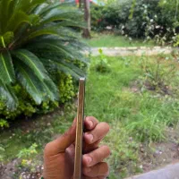 ایفون ۱۶پرو ۲۵۶گیگ تیتانیوم zaa|موبایل|بابلسر, |دیوار