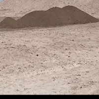 کود گوسفند