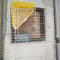 قفس خرگوش با وسایل
