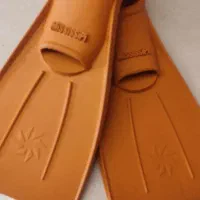 فین شنا