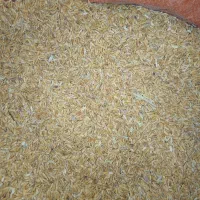 چلتوک کوهمره|عمده‌فروشی|ارژن, |دیوار