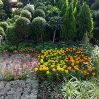 خدمات فضای سبز درتمام نقاط تهران