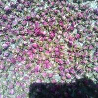 گل محمدی خشک درجه یک به شرط