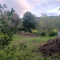 301 متر زمین املش|فروش زمین و ملک کلنگی|اطاقور, |دیوار