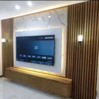 کناف، تی وی وال، سقف کاذب 60در60،لاینر نوری