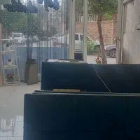 شاگرد جهت کار در قلیانسرا نیازمندیم