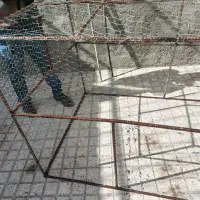 قفس|لوازم جانبی حیوانات|زنجان, |دیوار