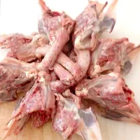 فروش اسکلت مرغ برای حیوانات در گرمسار