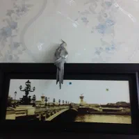 عروس هلندی ومرغ عشق|پرنده|ملارد, |دیوار