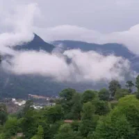 اجاره ویلا باغ|اجارهٔ کوتاه‌مدت ویلا و باغ|پل سفید, |دیوار