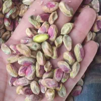 مغز پسته|خوردنی و آشامیدنی|تهران, امام حسین|دیوار