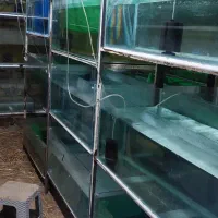 پایه و اکواریم