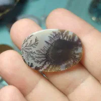 ورق بزنید حراجی شجر|جواهرات|شهریار, شهریار|دیوار