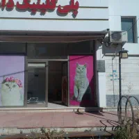 سالن یا کلینیک لوکس بر خیابان