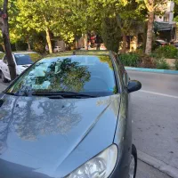 206 sdموتور tu5|خودرو سواری و وانت|اصفهان, مهرآباد|دیوار