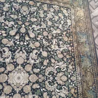 قالی نو ۱۲ متره|فرش|سمنان, |دیوار