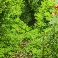 جشنواره-فروش-زمین-های-اقساطی-تحویل-در-مشهد
