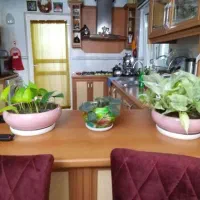 کابینت ام دی اف درحدنو