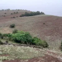 فروش زمین در منطقه عمارلو گیلان