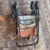 کالسکه دلیجان|کالسکه و لوازم جانبی|اصفهان, جنیران (لادان)|دیوار