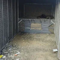 چادرمزدانو نو|قطعات یدکی و لوازم جانبی|پاکدشت, پاکدشت (مامازند)|دیوار