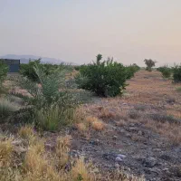 فروش ۳۰ هکتار زمین کشاورزی|فروش دفتر صنعتی، کشاورزی، تجاری|جغین, |دیوار