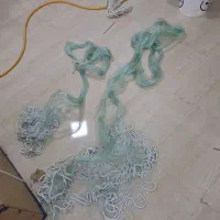 تور ماهیگیری