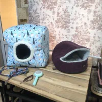 پامرین|سگ|قزوین, |دیوار