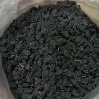 کشمش مویز بی دانه ترکمن ۴خشک شده طبیعی