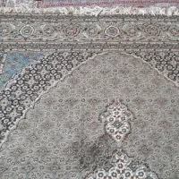 فرش 6متری|فرش|کرمانشاه, |دیوار