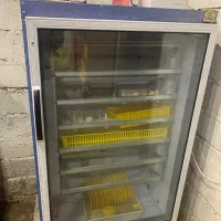 دستگاه جوجه کشی دماوند