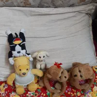 تعدادی عروسک خارجی قدیمی|اسباب‌بازی بچه|تهران, مقدم|دیوار