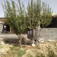 باغ ویلا|فروش خانه و ویلا|مشهد, فرخد|دیوار
