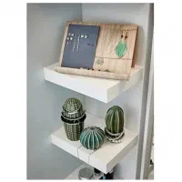 مجسمه دکوری کاکتوس|مجسمه، تندیس، ماکت|تهران, والفجر (افسریه)|دیوار