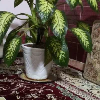 گل و گلدان زیبا