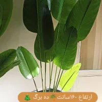 تولیدی لی دار ،تولیدکننده انواع درختچه های مصنوعی