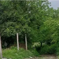 معاوضه زمین لواسون با کیش
