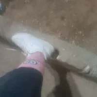 کفش اسپورت نایک