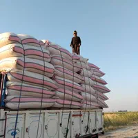 فروش کاه گندم سفال گندم پرس گندم بدون واسطه|حیوانات مزرعه|اصفهان, بهارستان|دیوار