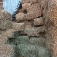 یونجه چین اول کلش گندم ۱۰۰خروار|لوازم جانبی حیوانات|مشگین شهر, |دیوار